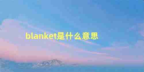 blanket是什么意思